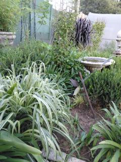 WHY NOT GUESTHOUSE - 7