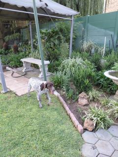 WHY NOT GUESTHOUSE - 5