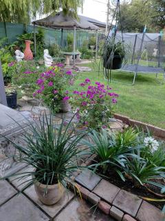 WHY NOT GUESTHOUSE - 4