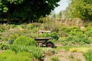 Sycamore Farm Barns - 4