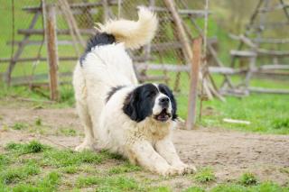 Casa Coasta Tare - 1