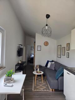 Studio Apartment Ceca*** - 7