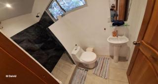 Casa Mono - 4