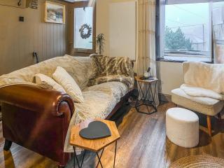 Snowdonia Cottage - 5