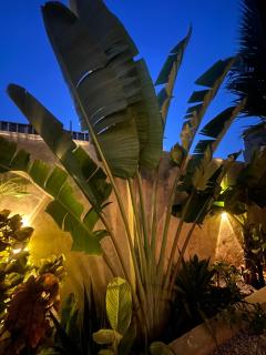 Uroa Sunset Bliss - 3