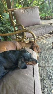 Casa de Campo Las Marías - 3