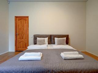 Merķeļa Central 2BR Apartment - 7