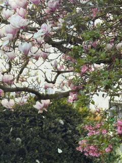 City Apartments FN L7 KLIMATISIERT-mit Küche - 9