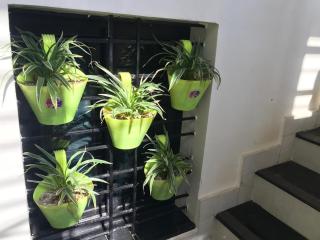 VISHNOO STAYS Sunny Morning Room - 1