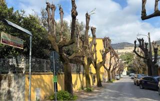 Hotel Annunziata - 7