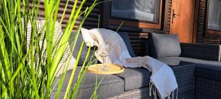 Ferienhaus am Park Ruhig Naturlage Entspannend - 0