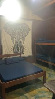 Chalés Mata Zen Garden - 1