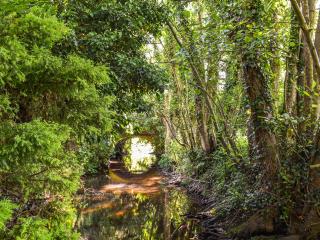 Bridge Cottage - 2