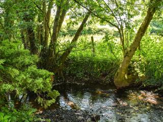 Bridge Cottage - 1