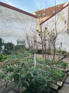 Central Aalborg Stay Quiet Courtyard Garden - 5