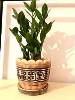 OSapart in a complex Semycvit - Lviv - 6