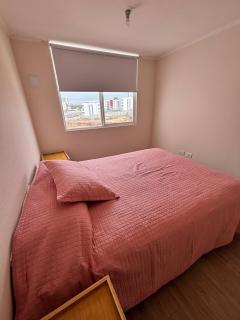 Hermoso departamento nuevo habilitado para 4 personas - 8