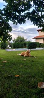 Sítio Encanto Singelo - Casa completa em condomínio com piscina aquecida e área gourmet - 8