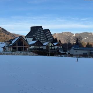 Zum Alpenreichapartment Bad Mitterndorf - 6