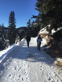 Peterwieshof - Funes - 4