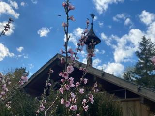 Ferienhaus Eichenseer Gallzein - Privates Anwesen mit Garten, Wald & Weitblick - 9