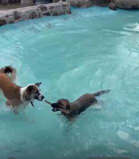 Wellness Casa Doña Juana - 9