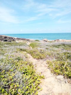 Ecohostel Comadre Flor - 4