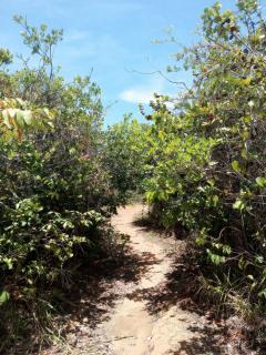 Ecohostel Comadre Flor - 1