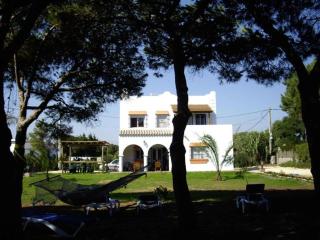 Finca Malyma with 2 villas and 1 apartment, beach front 10,000m2 botanic garden - 8