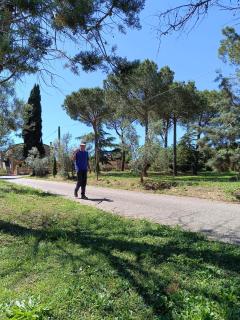 Agriturismo Pian dell'Osa - 5