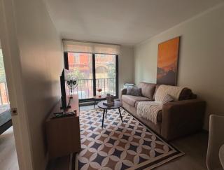 Centro de Santiago I Plaza de Armas - 6