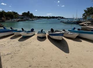 Estrella Dominicus Arena - 4