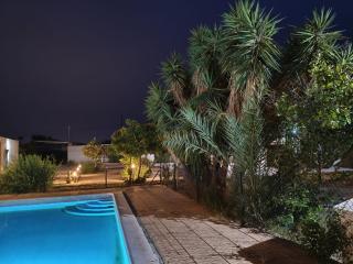 El Rincón del Olivo - 7