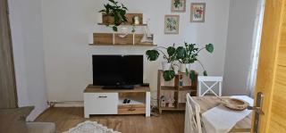 Roztoczańska dusza - 5