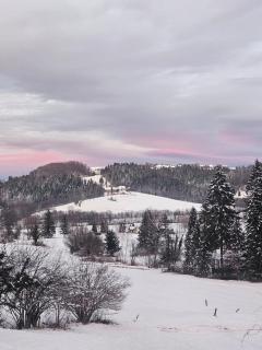 Počitniška hiša Eva - 1