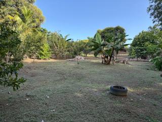 Nature Escape, Manzanilla with Experiences included - 6