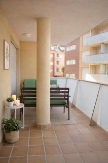 FGDR341C "Oyambre" - 8