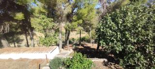 Casa Rural MONTE VERDE - 4