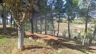 Casa Rural MONTE VERDE - 6