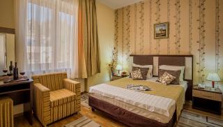 Hotel Rina Cerbul - Sinaia - 4