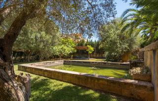 Son Floriana - 4