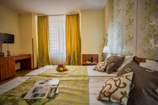 Hotel Rina Cerbul - Sinaia - 8