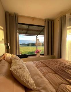 Entre Palmeras y Lavandas Casas de diseño en Riachuelo Colonia - 9