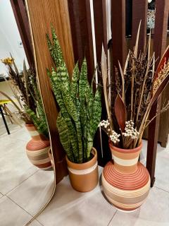 Apartamento suíte - Lençóis - 7