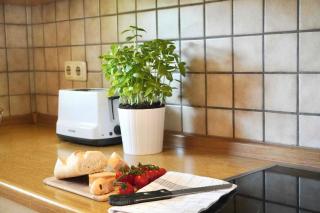 Ferienhaus Nordwind - 8