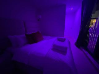 Kievitstraat King Stay near Zoo - 4