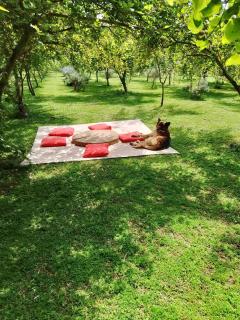 Lazer e descanso em Witmarsum - 2