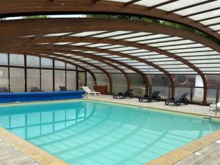 Gîte accueillant, animaux OK - 12 pers. - API-1-52-2263 - 1