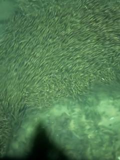 Coastal Homestay Phu Quoc - 8