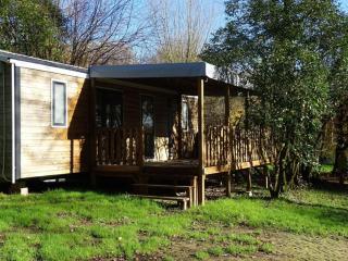 Mobil-home accueillant animaux - 6 pers. - API-1-52-2292 - 9
